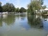 Der kleine Teich im Park