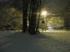 2010-01-29_snow-02