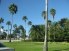 Palmen, Sonne, Blauer Himmel - Willkommen in Florida
