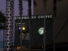 Starbucks unter Palmen